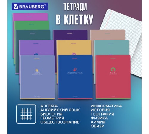 Тетради предметные, КОМПЛЕКТ 13 ПРЕДМЕТОВ, 48 л., матовая ламинация, BRAUBERG 