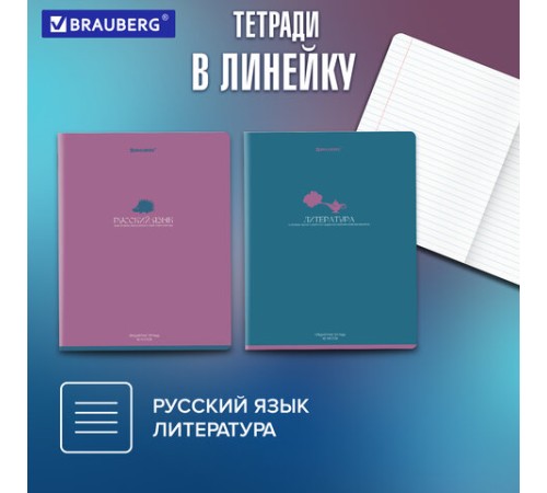 Тетради предметные, КОМПЛЕКТ 13 ПРЕДМЕТОВ, 48 л., матовая ламинация, BRAUBERG 
