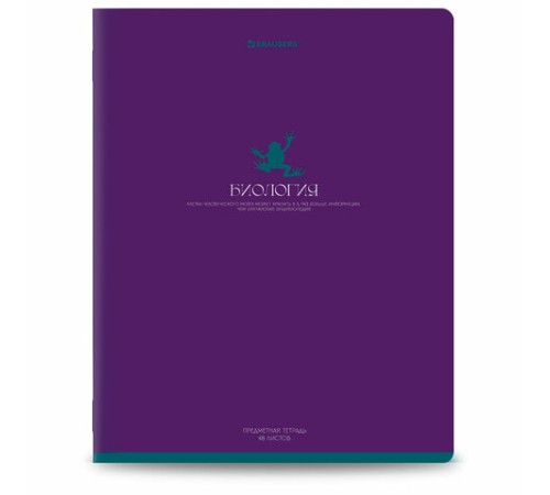 Тетради предметные, КОМПЛЕКТ 13 ПРЕДМЕТОВ, 48 л., матовая ламинация, BRAUBERG 