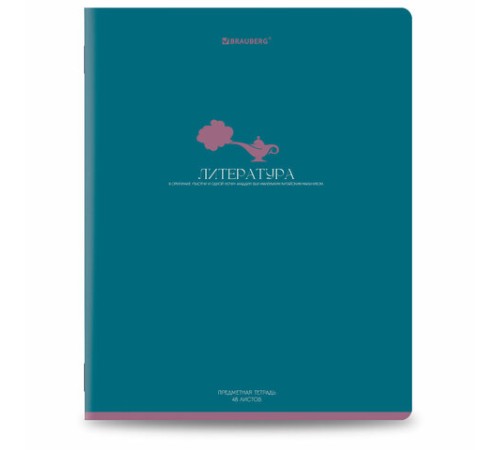 Тетради предметные, КОМПЛЕКТ 13 ПРЕДМЕТОВ, 48 л., матовая ламинация, BRAUBERG 