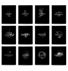 Тетради предметные, КОМПЛЕКТ 12 ПРЕДМЕТОВ, 48 л., матовая ламинация, BRAUBERG 