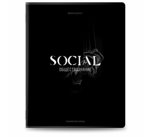 Тетради предметные, КОМПЛЕКТ 12 ПРЕДМЕТОВ, 48 л., матовая ламинация, BRAUBERG 