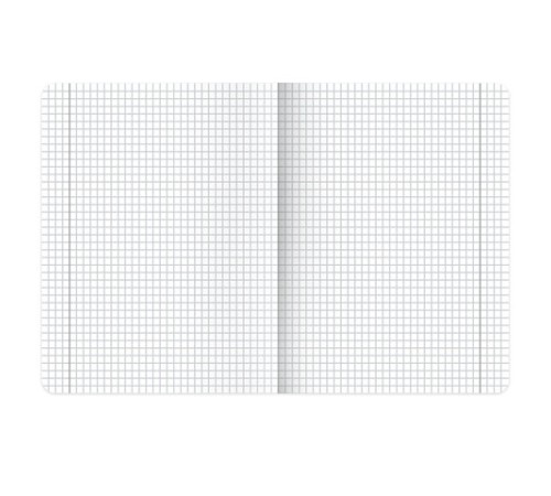 Тетради предметные, КОМПЛЕКТ 12 ПРЕДМЕТОВ, 48 л., матовая ламинация, BRAUBERG 