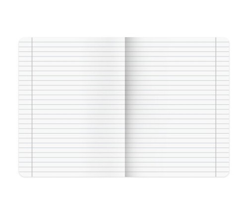 Тетради предметные, КОМПЛЕКТ 12 ПРЕДМЕТОВ, 48 л., матовая ламинация, BRAUBERG 