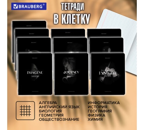 Тетради предметные, КОМПЛЕКТ 12 ПРЕДМЕТОВ, 48 л., матовая ламинация, BRAUBERG 