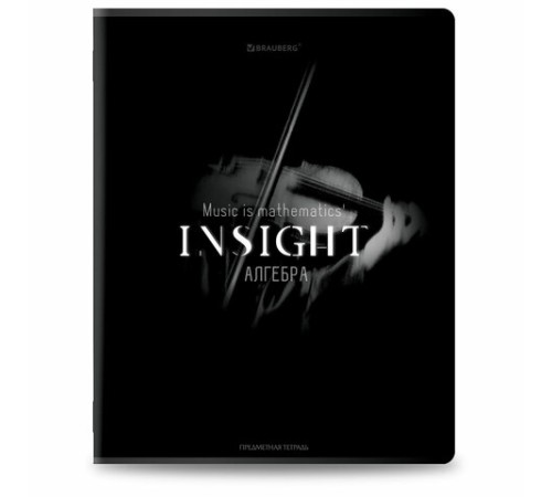Тетради предметные, КОМПЛЕКТ 12 ПРЕДМЕТОВ, 48 л., матовая ламинация, BRAUBERG 