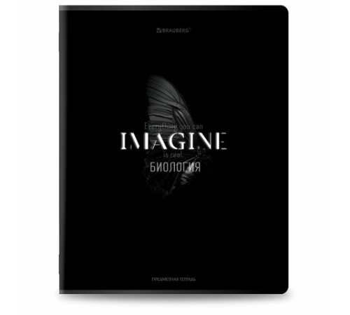Тетради предметные, КОМПЛЕКТ 12 ПРЕДМЕТОВ, 48 л., матовая ламинация, BRAUBERG 