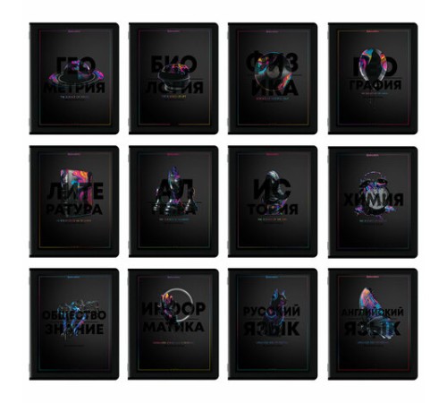 Тетради предметные, КОМПЛЕКТ 12 ПРЕДМЕТОВ, 48 л., матовая ламинация, лак, BRAUBERG 