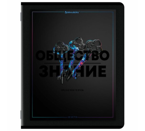 Тетради предметные, КОМПЛЕКТ 12 ПРЕДМЕТОВ, 48 л., матовая ламинация, лак, BRAUBERG 