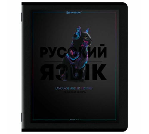 Тетради предметные, КОМПЛЕКТ 12 ПРЕДМЕТОВ, 48 л., матовая ламинация, лак, BRAUBERG 
