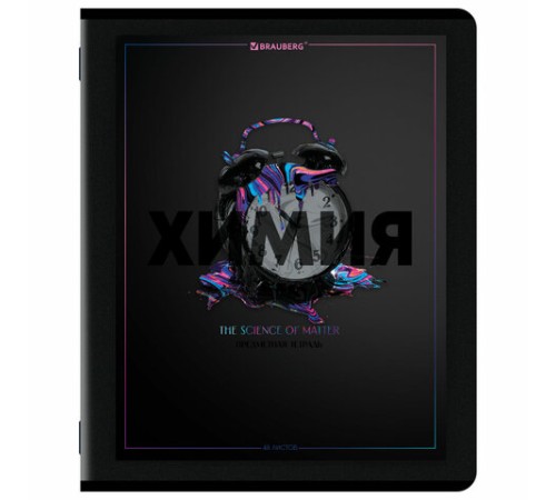 Тетради предметные, КОМПЛЕКТ 12 ПРЕДМЕТОВ, 48 л., матовая ламинация, лак, BRAUBERG 