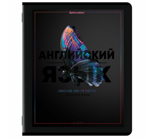 Тетради предметные, КОМПЛЕКТ 12 ПРЕДМЕТОВ, 48 л., матовая ламинация, лак, BRAUBERG 