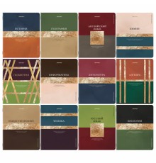 Тетради предметные, КОМПЛЕКТ 12 ПРЕДМЕТОВ, 48 л., матовая ламинация, фольга, BRAUBERG 