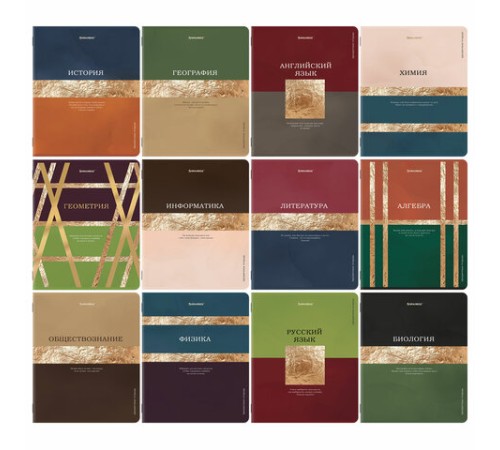 Тетради предметные, КОМПЛЕКТ 12 ПРЕДМЕТОВ, 48 л., матовая ламинация, фольга, BRAUBERG 