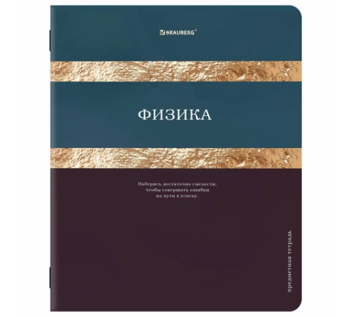 Тетради предметные, КОМПЛЕКТ 12 ПРЕДМЕТОВ, 48 л., матовая ламинация, фольга, BRAUBERG 