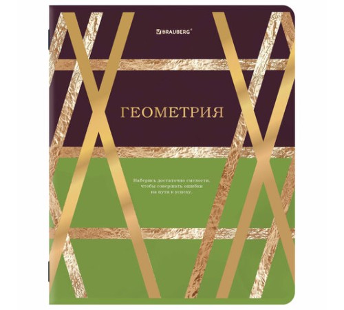Тетради предметные, КОМПЛЕКТ 12 ПРЕДМЕТОВ, 48 л., матовая ламинация, фольга, BRAUBERG 