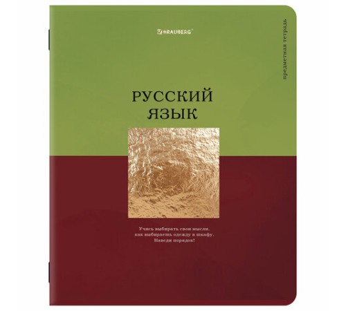 Тетради предметные, КОМПЛЕКТ 12 ПРЕДМЕТОВ, 48 л., матовая ламинация, фольга, BRAUBERG 