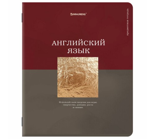 Тетради предметные, КОМПЛЕКТ 12 ПРЕДМЕТОВ, 48 л., матовая ламинация, фольга, BRAUBERG 