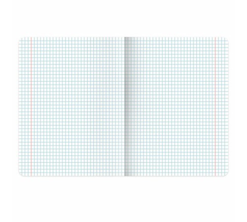 Тетради предметные, КОМПЛЕКТ 12 ПРЕДМЕТОВ, 48 л., матовая ламинация, фольга, BRAUBERG 