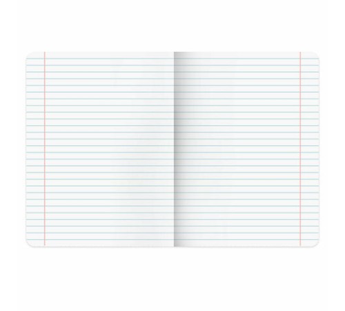 Тетради предметные, КОМПЛЕКТ 12 ПРЕДМЕТОВ, 48 л., матовая ламинация, фольга, BRAUBERG 