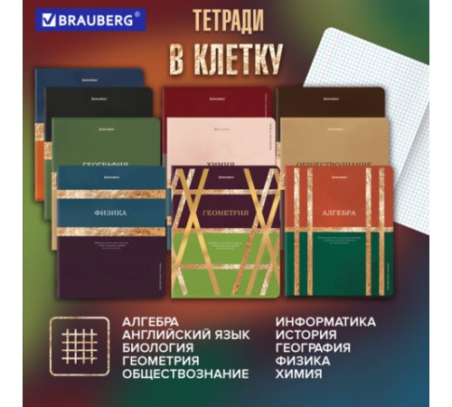 Тетради предметные, КОМПЛЕКТ 12 ПРЕДМЕТОВ, 48 л., матовая ламинация, фольга, BRAUBERG 
