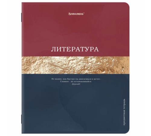 Тетради предметные, КОМПЛЕКТ 12 ПРЕДМЕТОВ, 48 л., матовая ламинация, фольга, BRAUBERG 