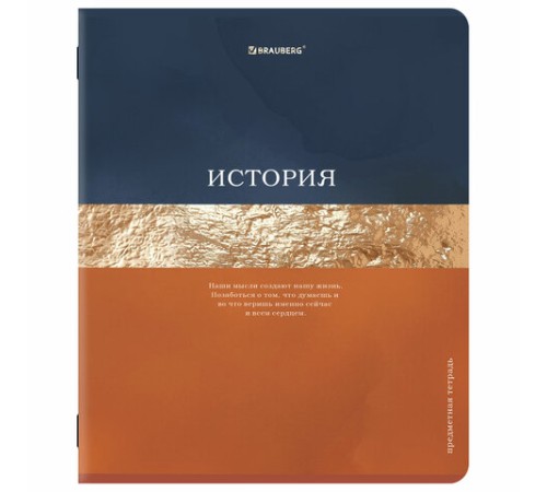 Тетради предметные, КОМПЛЕКТ 12 ПРЕДМЕТОВ, 48 л., матовая ламинация, фольга, BRAUBERG 