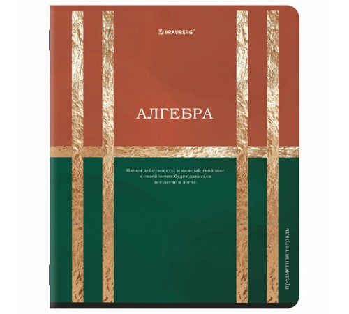Тетради предметные, КОМПЛЕКТ 12 ПРЕДМЕТОВ, 48 л., матовая ламинация, фольга, BRAUBERG 