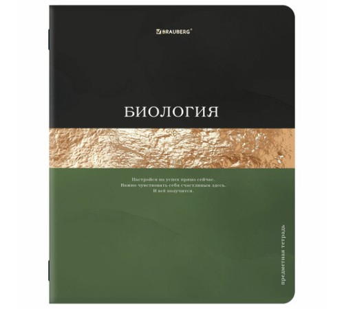 Тетради предметные, КОМПЛЕКТ 12 ПРЕДМЕТОВ, 48 л., матовая ламинация, фольга, BRAUBERG 