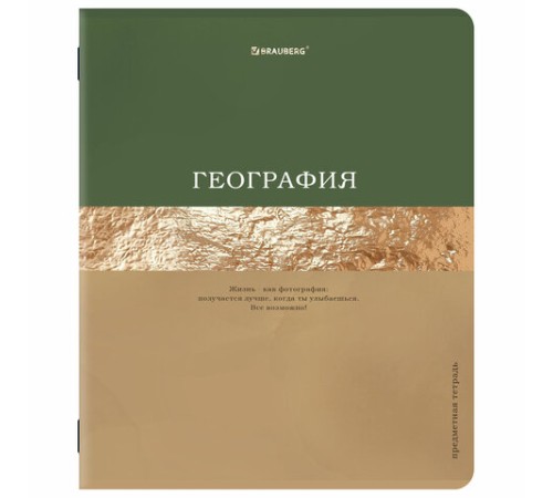 Тетради предметные, КОМПЛЕКТ 12 ПРЕДМЕТОВ, 48 л., матовая ламинация, фольга, BRAUBERG 