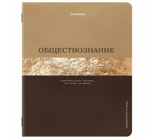 Тетради предметные, КОМПЛЕКТ 12 ПРЕДМЕТОВ, 48 л., матовая ламинация, фольга, BRAUBERG 