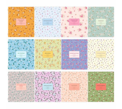 Тетради предметные, КОМПЛЕКТ 12 ПРЕДМЕТОВ, 48 л., рельефный картон, BRAUBERG 