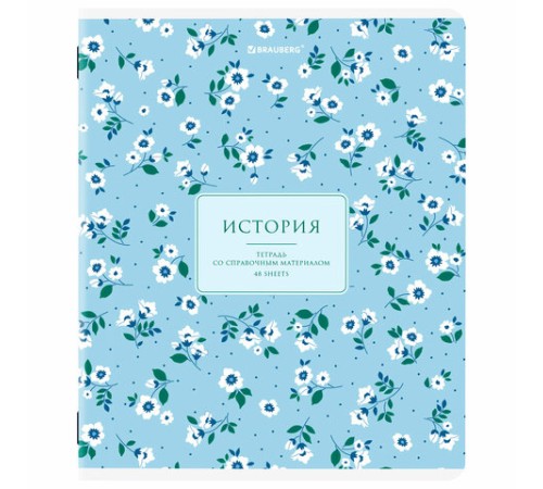 Тетради предметные, КОМПЛЕКТ 12 ПРЕДМЕТОВ, 48 л., рельефный картон, BRAUBERG 