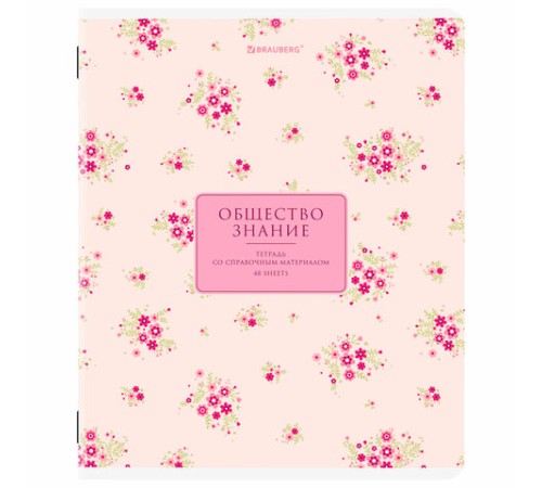 Тетради предметные, КОМПЛЕКТ 12 ПРЕДМЕТОВ, 48 л., рельефный картон, BRAUBERG 