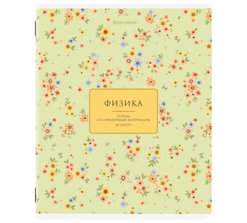 Тетради предметные, КОМПЛЕКТ 12 ПРЕДМЕТОВ, 48 л., рельефный картон, BRAUBERG 