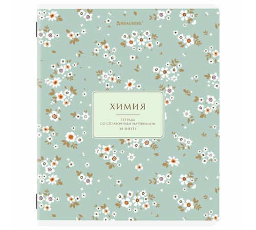 Тетради предметные, КОМПЛЕКТ 12 ПРЕДМЕТОВ, 48 л., рельефный картон, BRAUBERG 