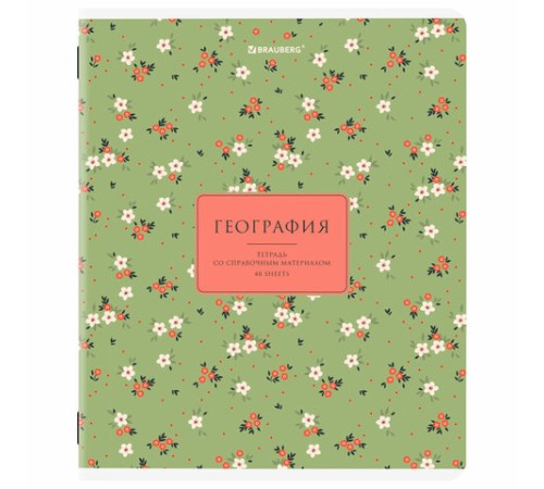 Тетради предметные, КОМПЛЕКТ 12 ПРЕДМЕТОВ, 48 л., рельефный картон, BRAUBERG 