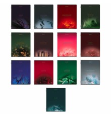 Тетради предметные, КОМПЛЕКТ 13 ПРЕДМЕТОВ, 48 л., SoftTouch, BRAUBERG 