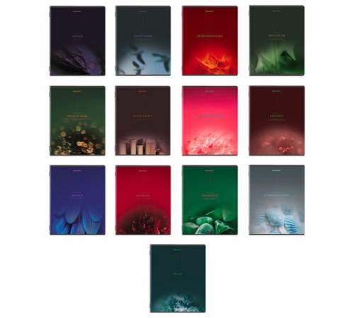 Тетради предметные, КОМПЛЕКТ 13 ПРЕДМЕТОВ, 48 л., SoftTouch, BRAUBERG 