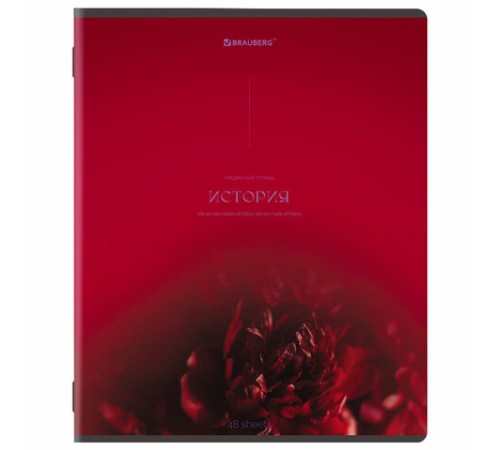 Тетради предметные, КОМПЛЕКТ 13 ПРЕДМЕТОВ, 48 л., SoftTouch, BRAUBERG 