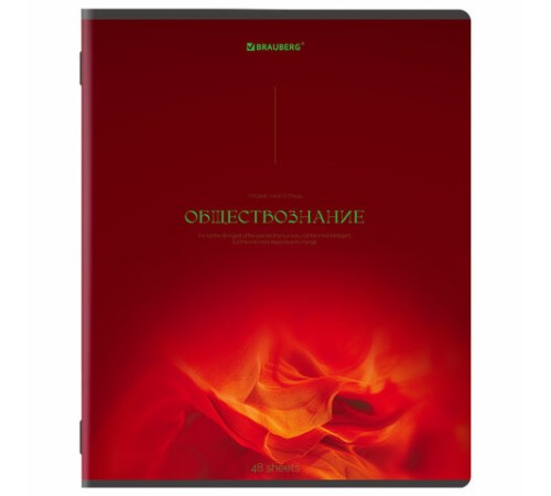 Тетради предметные, КОМПЛЕКТ 13 ПРЕДМЕТОВ, 48 л., SoftTouch, BRAUBERG 