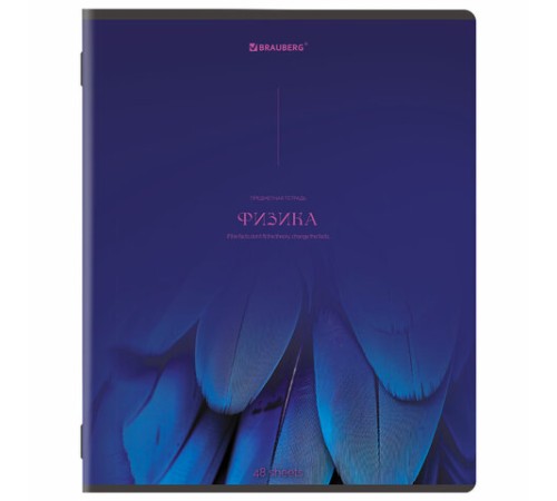 Тетради предметные, КОМПЛЕКТ 13 ПРЕДМЕТОВ, 48 л., SoftTouch, BRAUBERG 