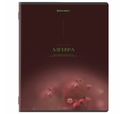 Тетради предметные, КОМПЛЕКТ 13 ПРЕДМЕТОВ, 48 л., SoftTouch, BRAUBERG 