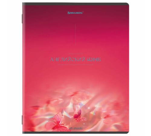 Тетради предметные, КОМПЛЕКТ 13 ПРЕДМЕТОВ, 48 л., SoftTouch, BRAUBERG 