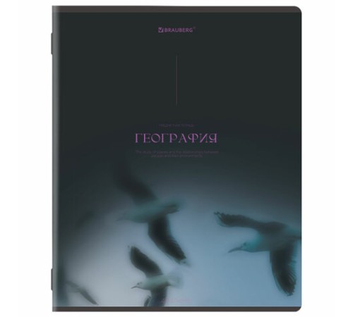 Тетради предметные, КОМПЛЕКТ 13 ПРЕДМЕТОВ, 48 л., SoftTouch, BRAUBERG 
