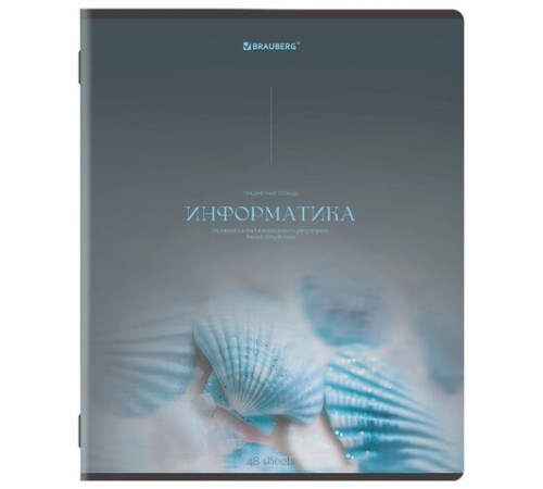 Тетради предметные, КОМПЛЕКТ 13 ПРЕДМЕТОВ, 48 л., SoftTouch, BRAUBERG 