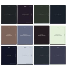 Тетради предметные, КОМПЛЕКТ 12 ПРЕДМЕТОВ, 48 л., SoftTouch, BRAUBERG 