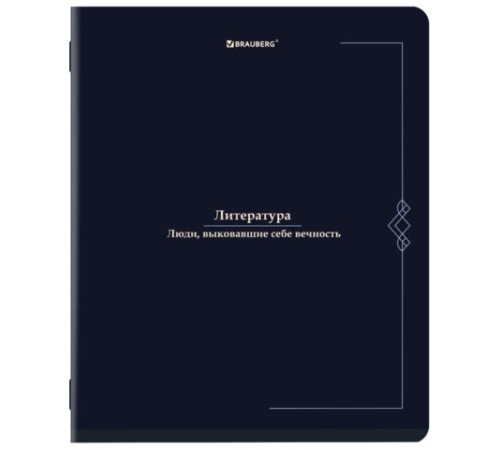 Тетради предметные, КОМПЛЕКТ 12 ПРЕДМЕТОВ, 48 л., SoftTouch, BRAUBERG 