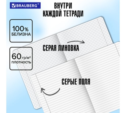 Тетради предметные, КОМПЛЕКТ 12 ПРЕДМЕТОВ, 48 л., SoftTouch, BRAUBERG 