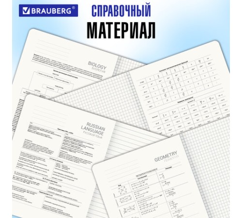 Тетради предметные, КОМПЛЕКТ 12 ПРЕДМЕТОВ, 48 л., SoftTouch, BRAUBERG 